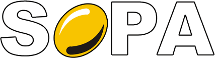 Client Partner
